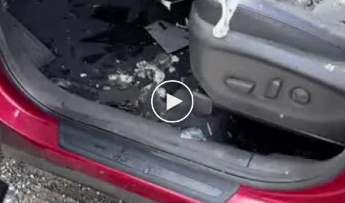 A good thermos: a girl showed the consequences of a fire in a car