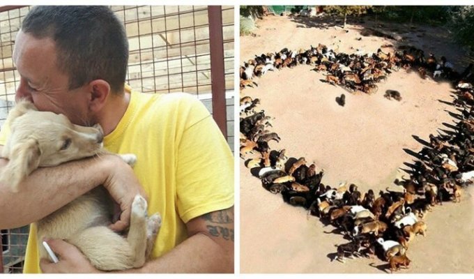 Житель Сербии открыл приют для собак и спас сотни жизней (21 фото + 2 видео)