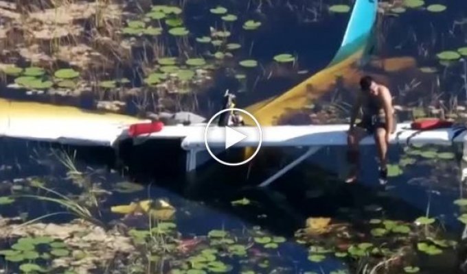 The pilot was rescued after he sat on the wing of a half-submerged plane surrounded by alligators for 9 hours