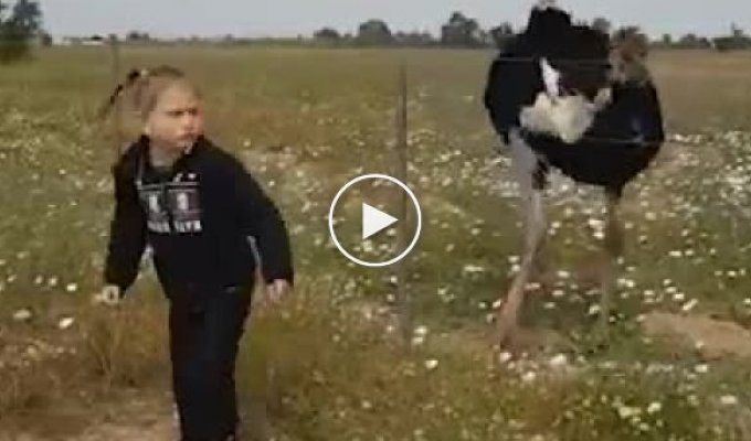A girl and an ostrich performed a funny dance in South Africa