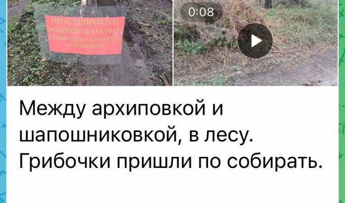 В своем лесу, россияне устанавливают растяжки в глубоком тылу, в Воронежской области