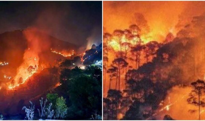 In India, they began to actively extinguish a strong fire only after the fire reached the military (2 photos + 2 videos)