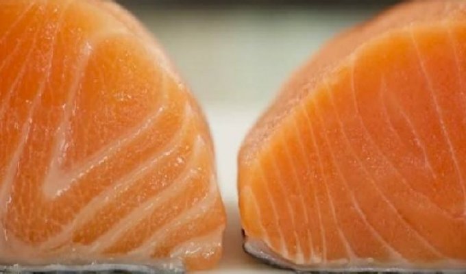 Вот как определить, что ваш лосось купленный в магазине безопасный?