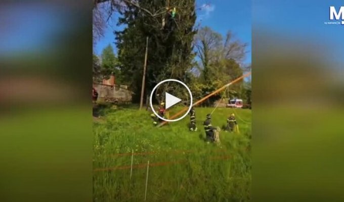 Пожежники врятували парапланериста, який застряг на дереві