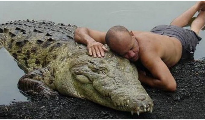 Феноменальная дружба человека и крокодила длиною в 20 лет! (7 фото)