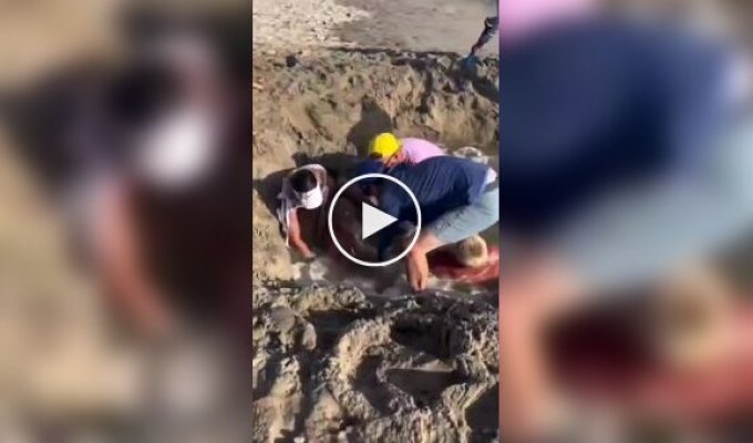 Подростки застряли в мокром песке на пляже