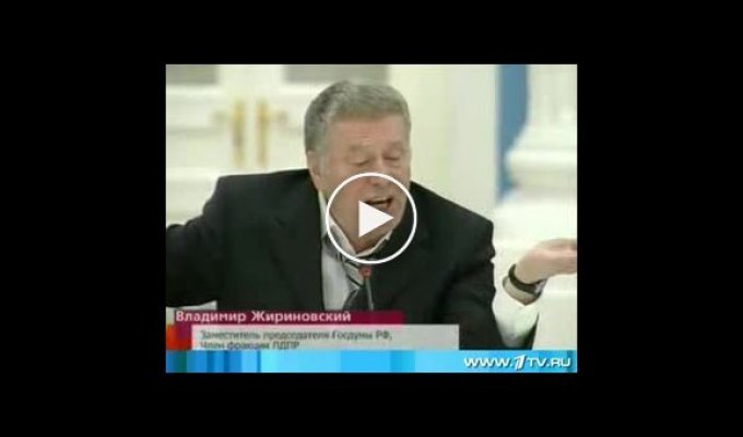 Жириновский и Путин, беседуют