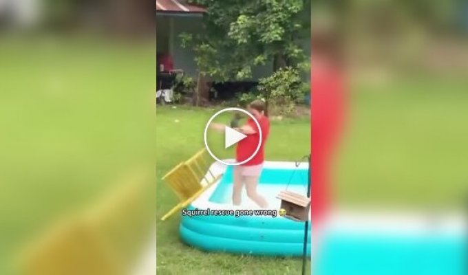 Белки атакуют