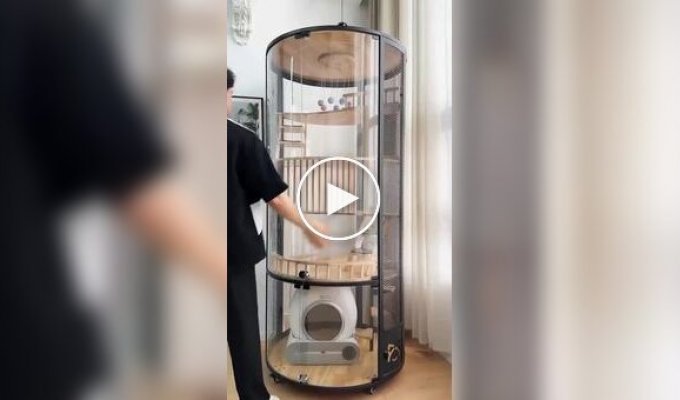 Квартира для котов