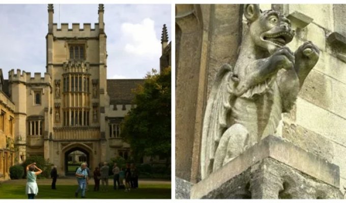 Тайный язык горгулий и других древних каменных жителей колледжа в Оксфорде (10 фото)