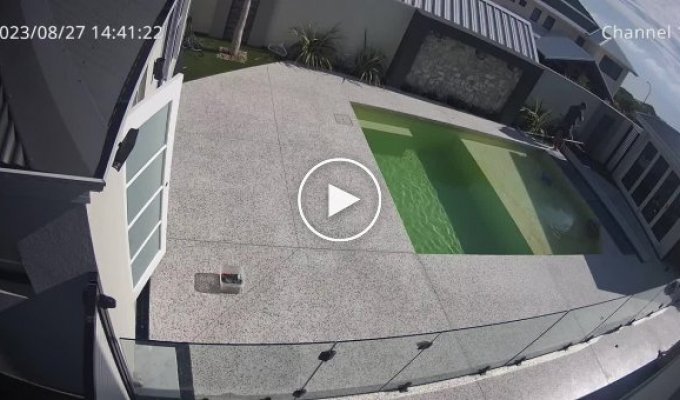 An Australian's unsuccessful attempt to clean the pool