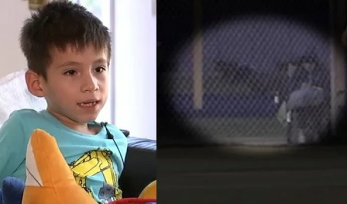 В США койот напал на 6-летнего мальчика во время матча (5 фото + 1 видео)