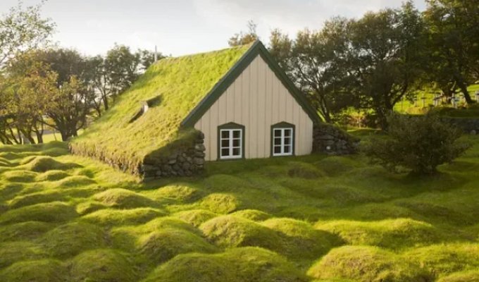 Houses like in "The Hobbit" in real life. (13 photos)