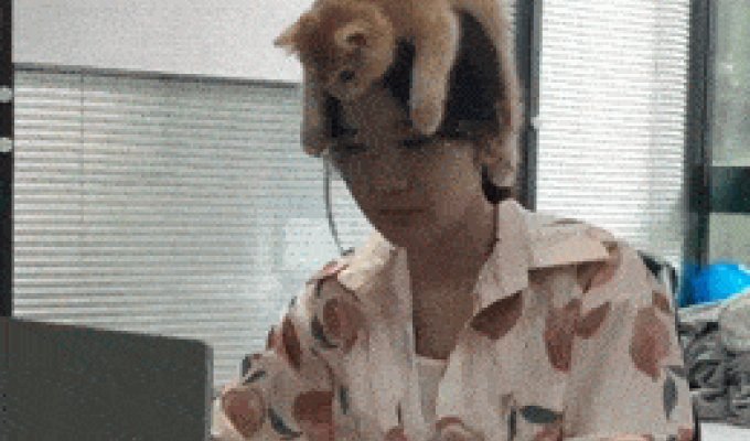 Классные гифки. Выпуск 2732