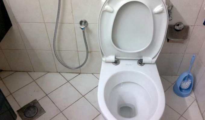 Эта компания заплатит вам 13000 долларов, если вы будете облегчаться в их туалете (3 фото)