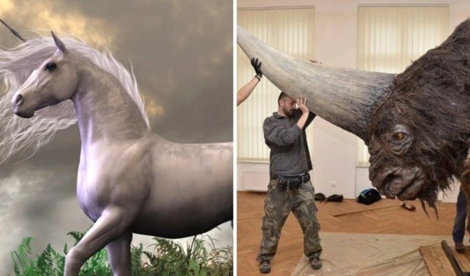 11 mythical creatures that have real prototypes (12 photos)