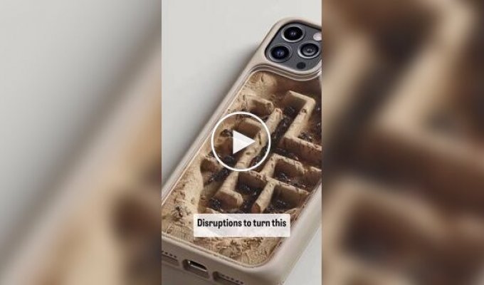 Энтузиаст создал чехол для смартфона с миниатюрной муравьиной фермой