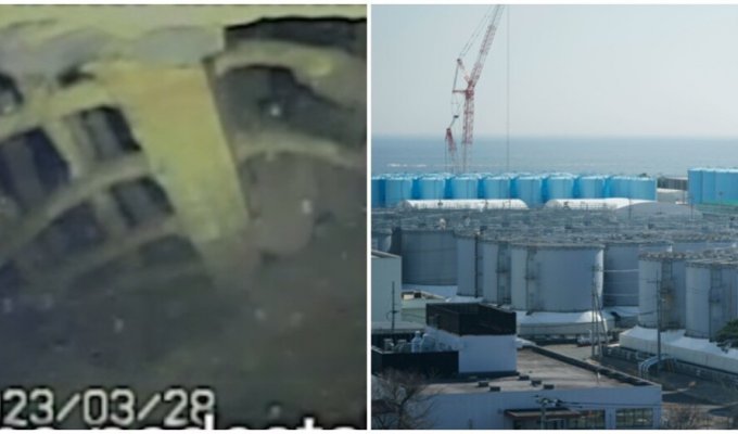Японці вперше показали внутрішню частину реактора АЕС "Фукусіма" (2 фото + 1 відео)
