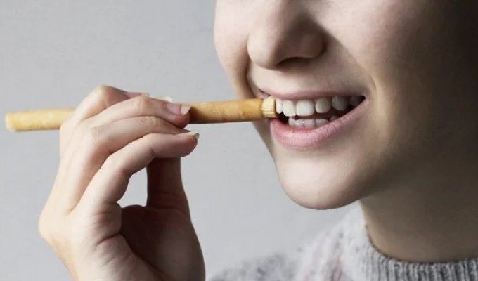 What Is Miswak and Can It Replace Your Toothbrush? (7 photos)