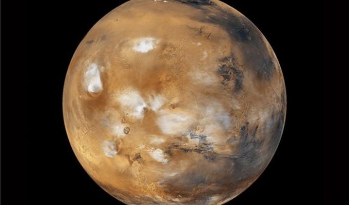 Кто полетит на Марс (4 фото)