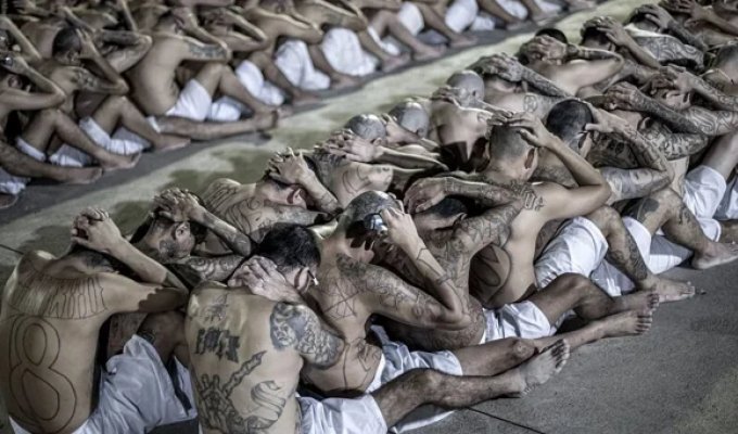 Крепость строгого режима: экскурсия по сальвадорской тюрьме для опасных преступников (10 фото + 3 видео)