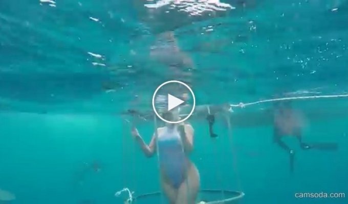 Порнозвезду Молли Кавалли во время съемок укусила акула 