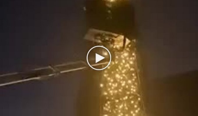 В Киеве, на Софийской площади, зажгли главное новогоднее дерево