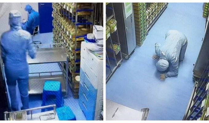 The mouse escaped from the unlucky laboratory assistant (6 photos + 1 video)