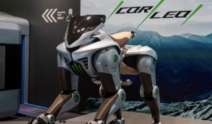 Кибер лошадь (2 фото + видео)