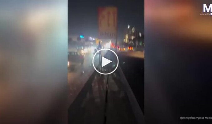 Driver Rescued a kitten stuck in a bridge crack