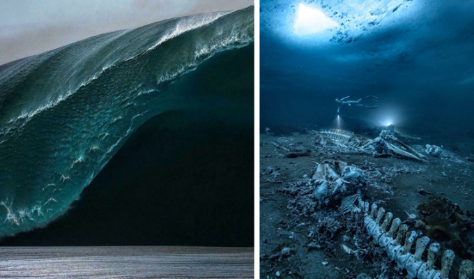 30 photos that will make you scared to even approach the water (31 photos)