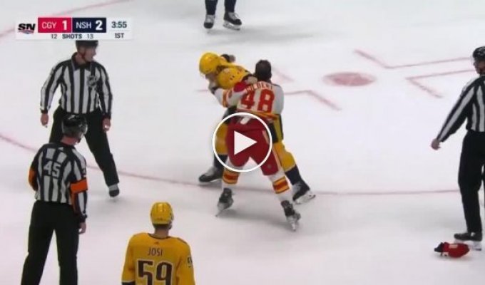 The referee prevented the hockey player from being injured