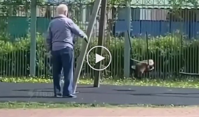 A man swings his cat on a swing