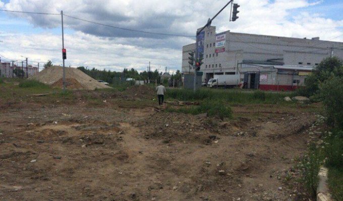 В Ярославле на пустыре установили светофор (3 фото)