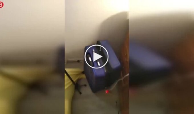 Розшукувана жінка обрала дуже незвичайне місце для укриття