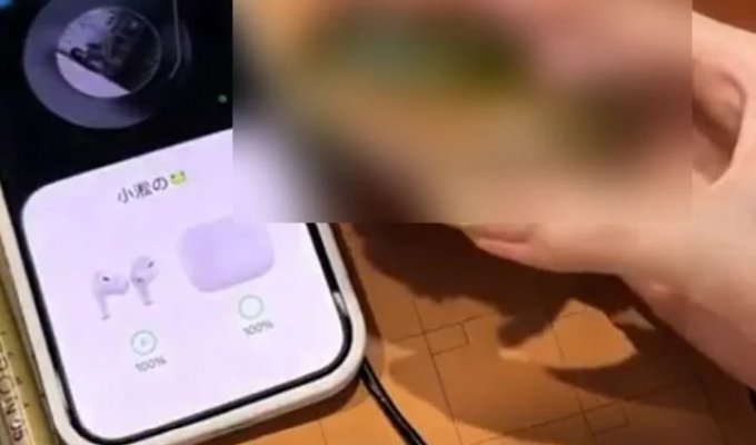 На маркетплейсах нашли лучший кейс для наушников (5 фото + видео)