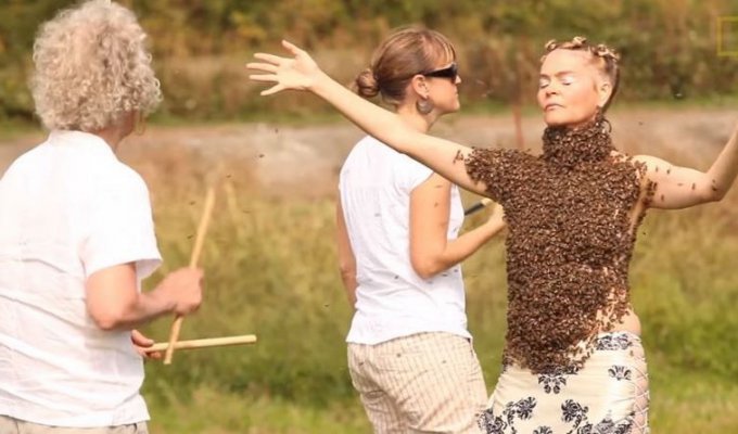 Американка исполнила танец с 10000 пчел на теле (4 фото + 1 видео)