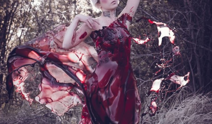 Фотограф из Канады создала прекрасное и немного жутковатое «кровавое платье» (4 фото)