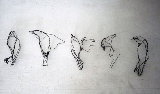 Проволочные скульптуры животных, которые выглядят как карандашные рисунки (7 фото)
