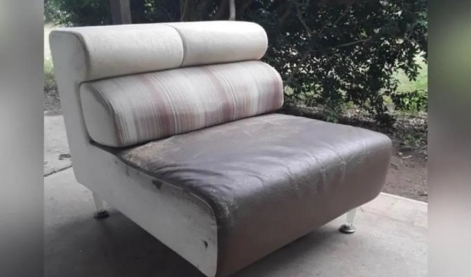 Австралиец пожертвовал диван и забыл, что спрятал в нем $30 тысяч (2 фото)