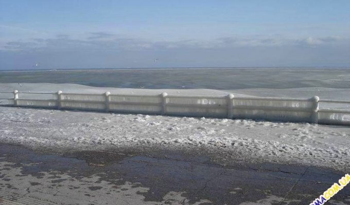  Замерзшее море (12 фото)