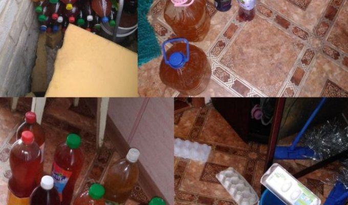 Странный фетиш: в Кирове женщина снимала квартиру и оставила после себя 100 литров мочи (6 фото)