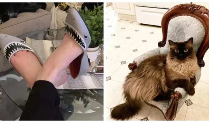30 Incredibly Successful Thrift Store Purchases (31 photos)