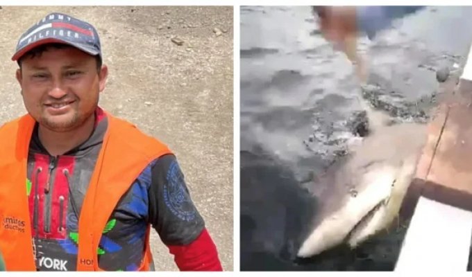 In Honduras, fishermen took revenge on a shark that maimed a local resident (6 photos + 1 video)