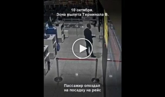 Опоздавший на рейс грузин устроил истерику и погром в Шереметьево
