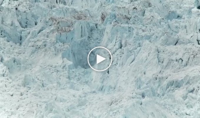 Они установили камеру на отдаленном участке в Гренландии. То, что они там засняли — ужасает!