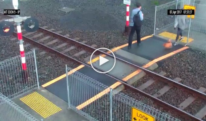 Невнимательная девушка едва не угодила под поезд в Новой Зеландии