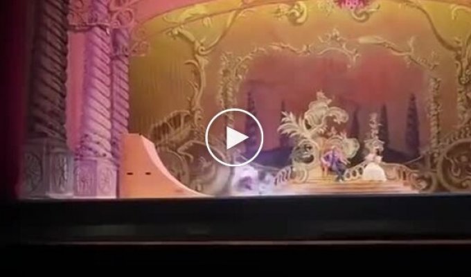 Легендарный скейтбордист дебютировал в балете