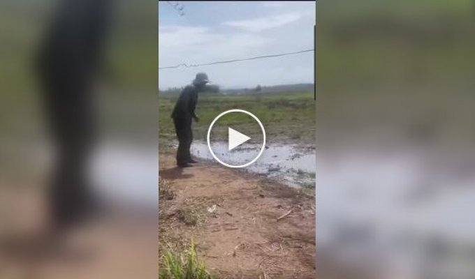 Схватка со змеей