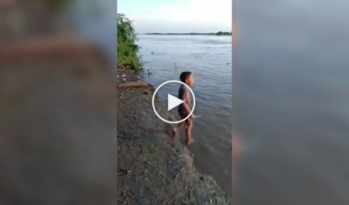 Мальчик из Бразилии держит аллигатора как «домашнего питомца»